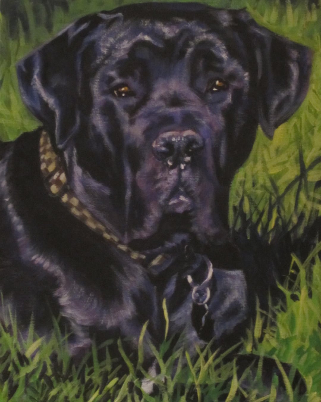 Cane Corso Dog Art Portrait CANVAS Print of LA Shepard Etsy