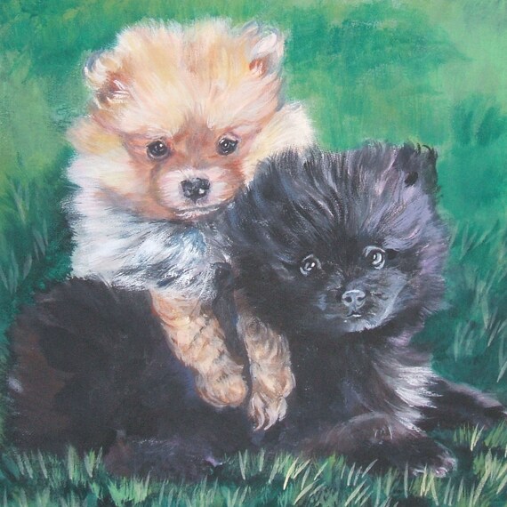 Online hotsell pomeranian dog