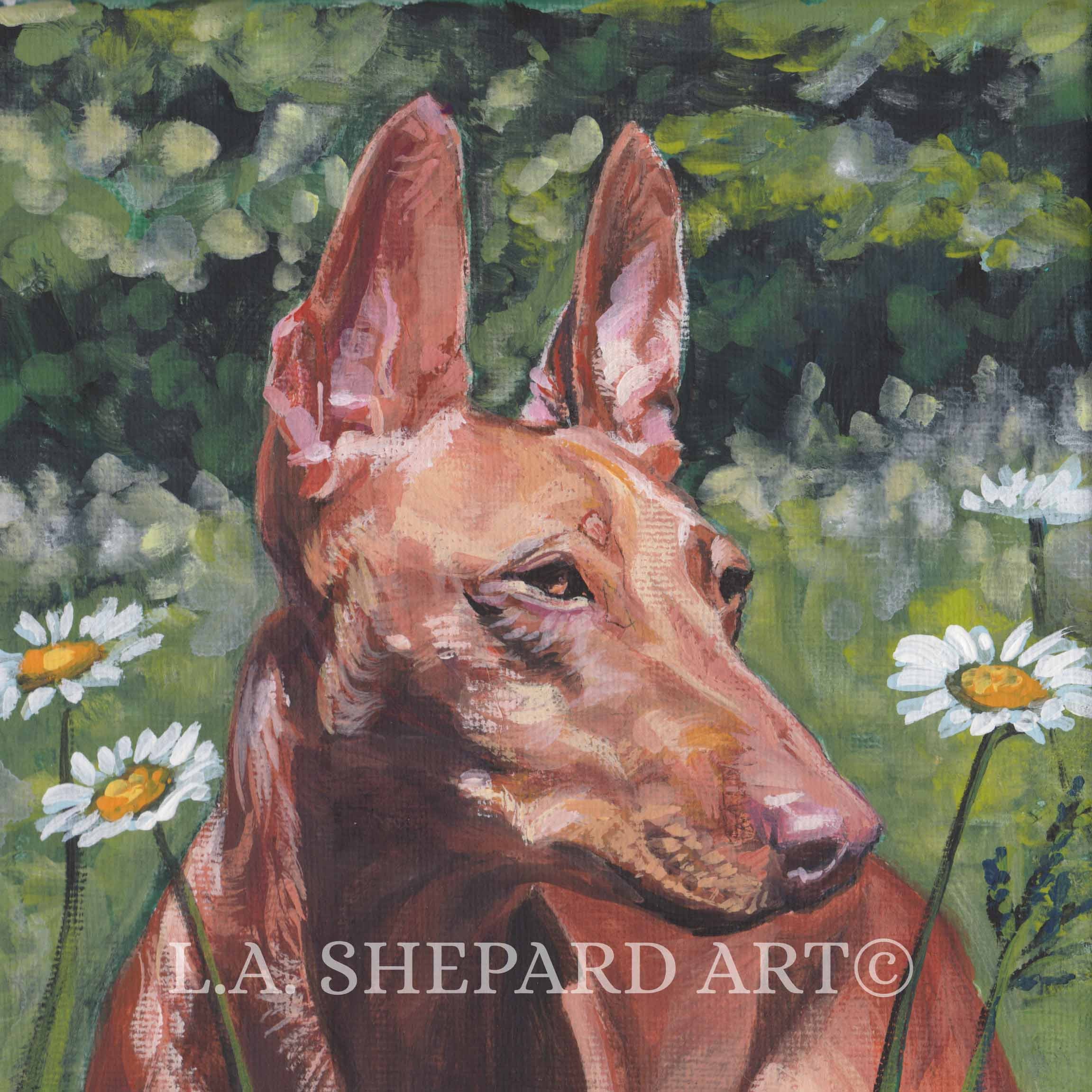 CIRNECO Dell'etna HOUND Dog Portrait Art Canvas PRINT of Lashepard ...