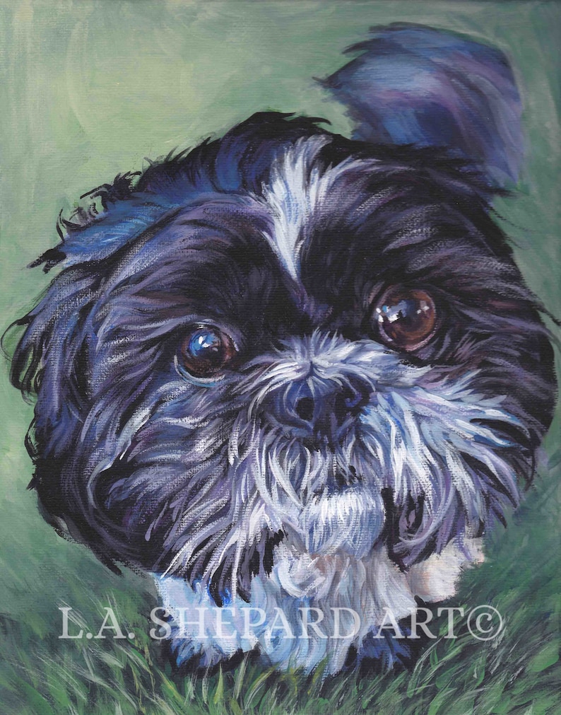 SHIH TZU Dog art portrait canvas PRINT of LAShepard painting 11x14 image 1