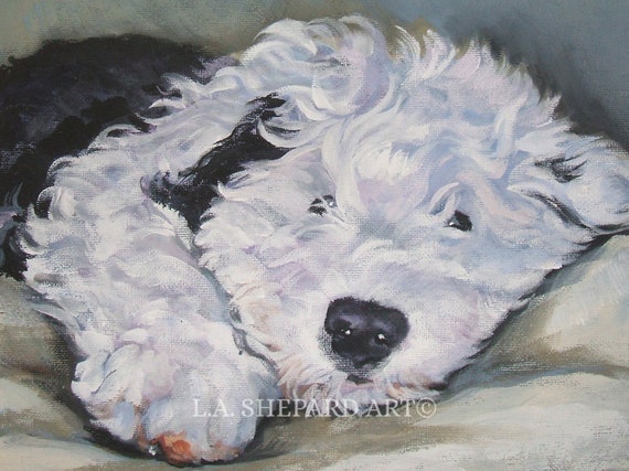 Foto De Stock Old English Sheepdog, Royalty-Free