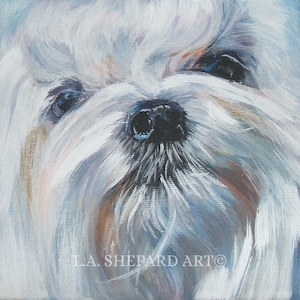 MALTESE dog PORTRAIT canvas PRINT of LAShepard painting 8x8 dog art