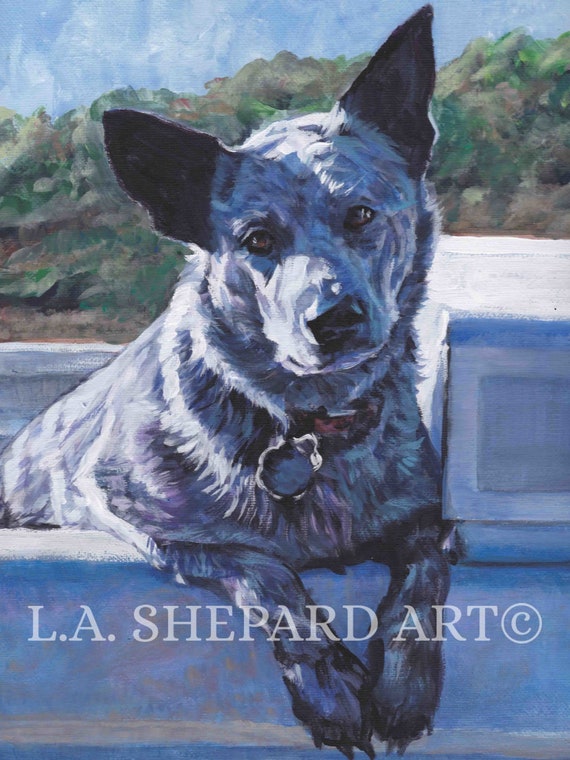 Australian Cattle dog coffee 13x19 art PRINT animals artist gift new