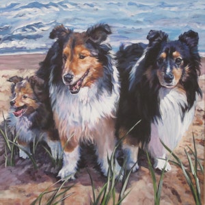 Shetland sheepdog shelties dog art wydruk na płótnie LA Shepard painting 8x8