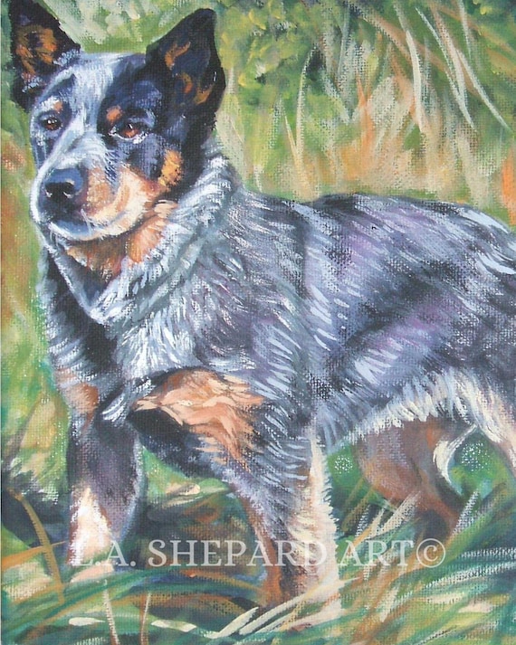 blue heeler painting