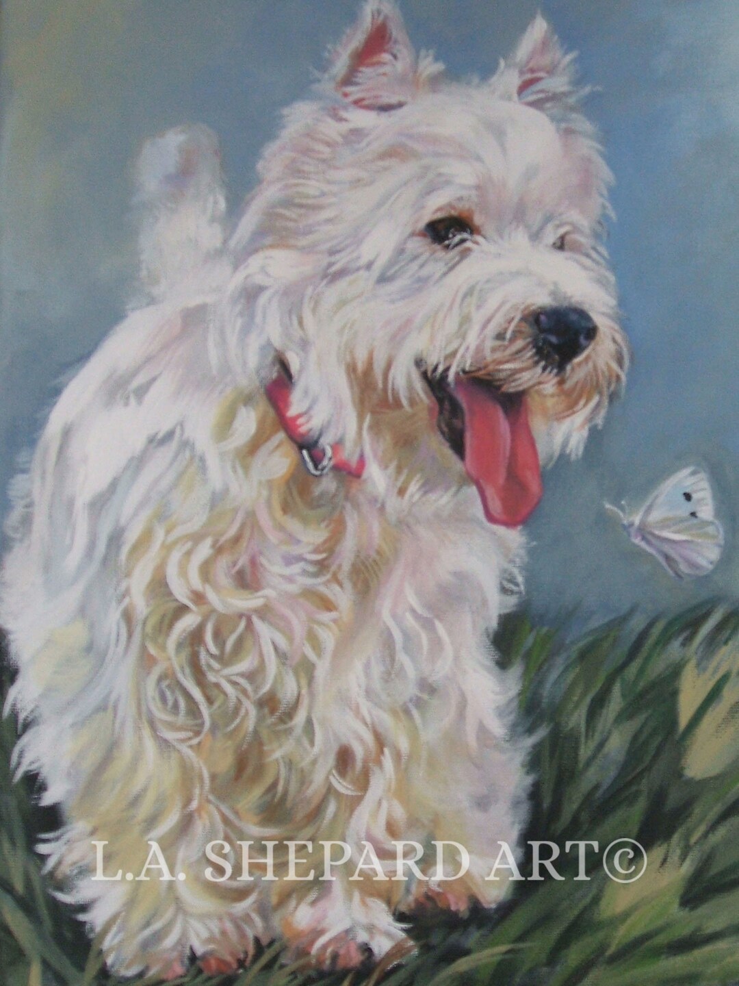 West Highland Terrier WESTIE Dog ART Print Canvas PRINT of Lashepard ...