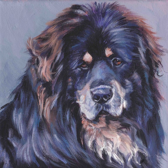 tibetan mastiff art