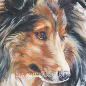 Shetland Sheepdog sheltie dog art portrait print of LA Shepard painting 8x10