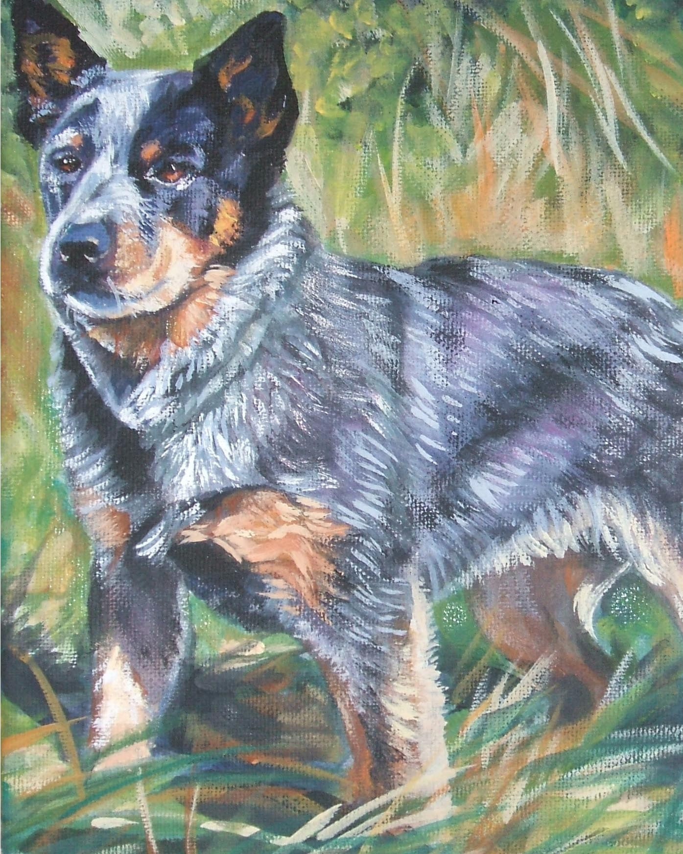 Australian Cattle Dog CANVAS art print of Blue Heeler ...