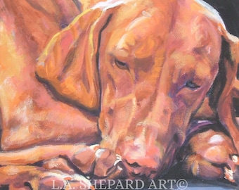 VIZSLA dog portrait art canvas PRINT of LAShepard painting 8x8"