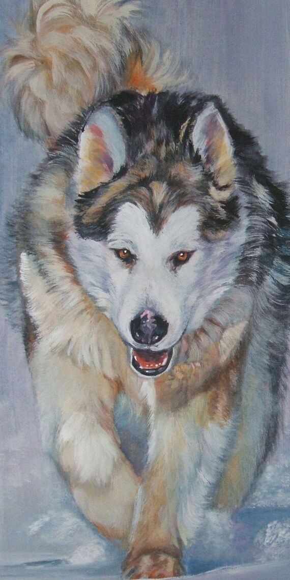 Alaskan MALAMUTE Dog Art Portrait Canvas PRINT of Lashepard