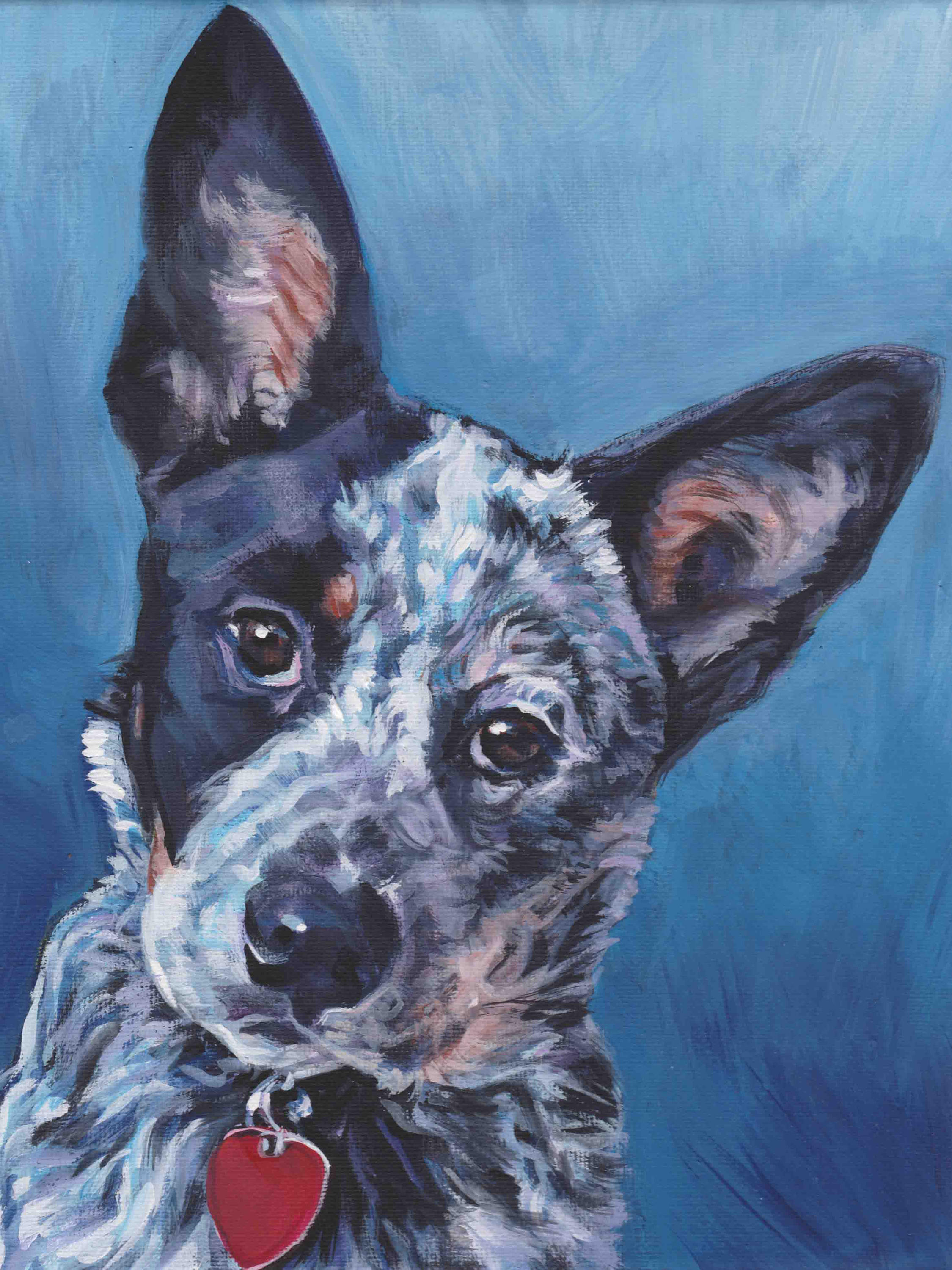 Australian Cattle Dog portrait art print of LAShepard painting Etsy