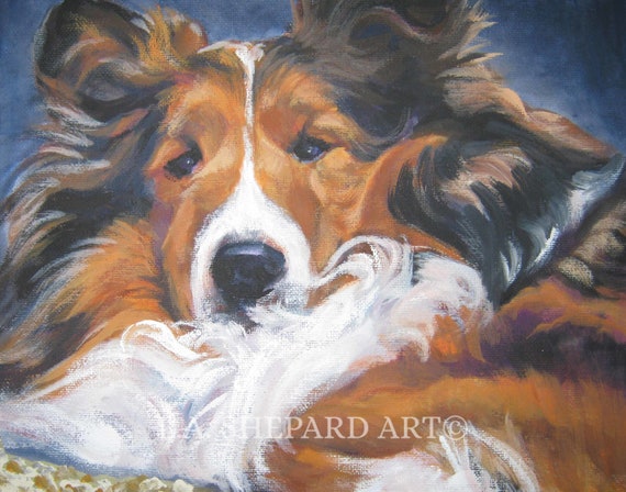 Shetland Sheepdog SHELTIE PORTRAIT Dog ART Print of Lashepard