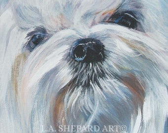 May include: Close-up painting of a white dog's face with a black nose and dark eyes. The dog has long, fluffy white fur. The painting is signed "L.A. SHEPARD ART".