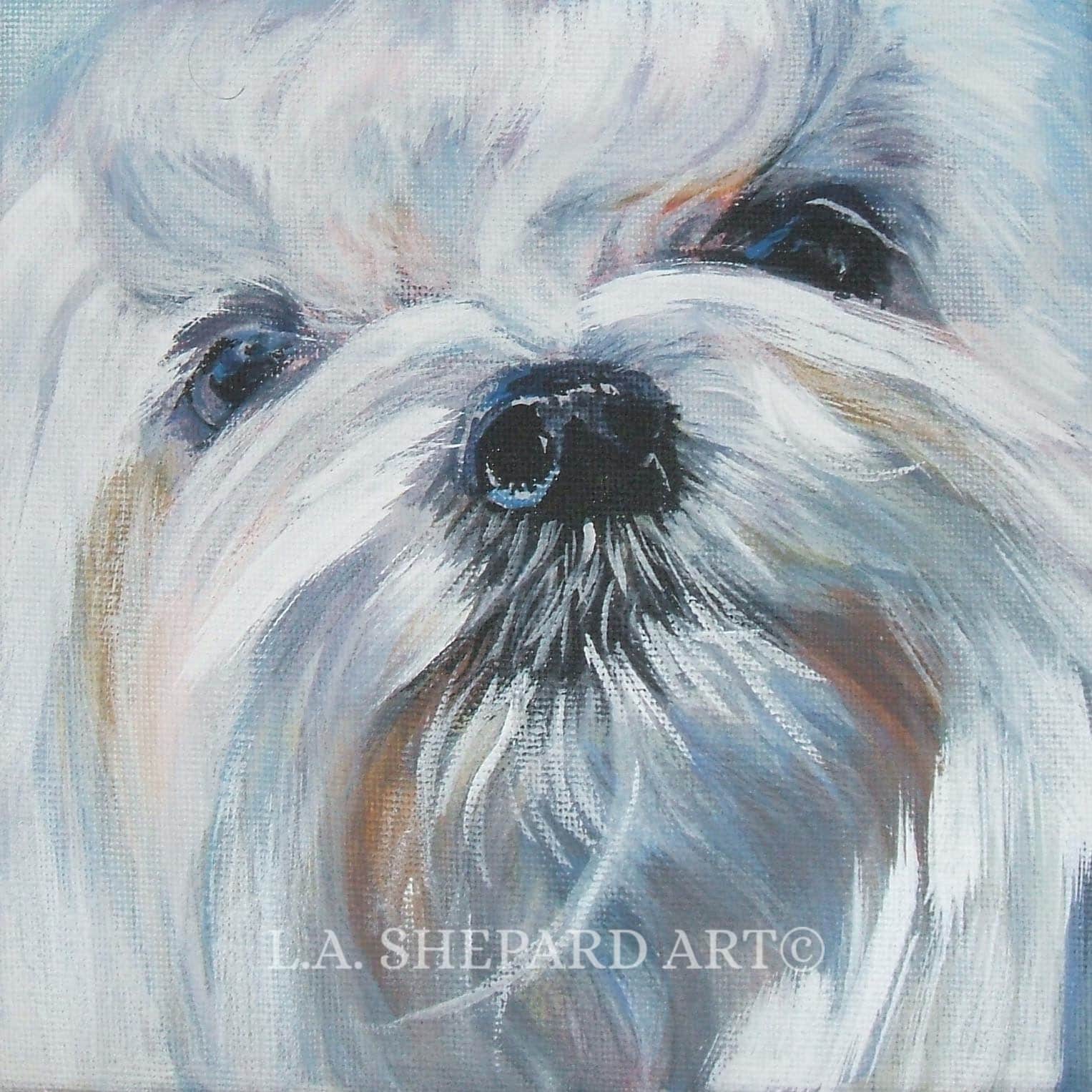 Home & Living MALTESE PAINTING Original oil on Canvas 20 x 20 Home
