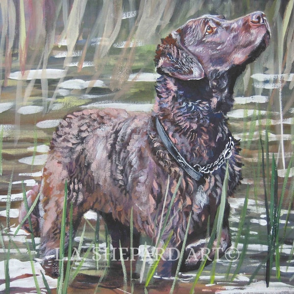 CHESAPEAKE Bay RETRIEVER dog art PRINT of laShepard painting 8x10