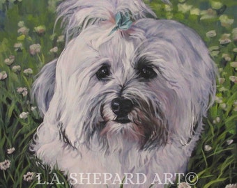 Portrait de chien havanais sur toile impression de LAShepard peinture 12 x 12"