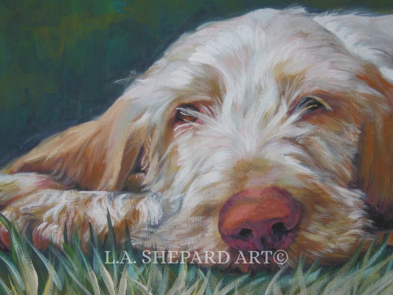 SPINONE Italiano dog art portrait PRINT of LaShepard painting 12x16 image 1