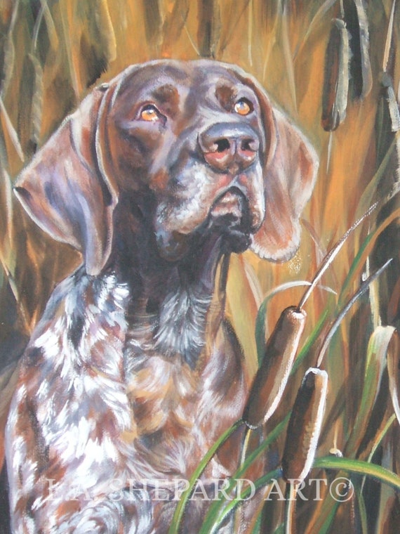 German Shorthaired Pointer GSP dog art PORTRAIT PRINT of LAShepard painting 8x10