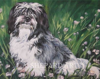 Portrait de chien havanais sur toile impression de LAShepard peinture 11 x 14"