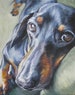 DACHSHUND dog PORTRAIT art canvas PRINT of painting by LAShepard 11x14' 