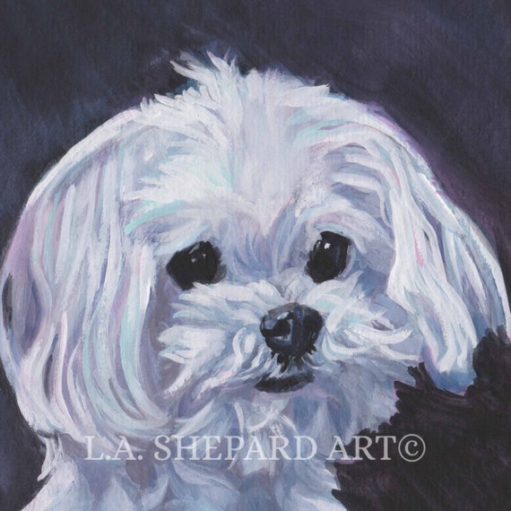 マルチーズ犬の肖像画アート LAShepard 絵画のキャンバスプリント 8x8