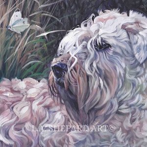 WHEATEN TERRIER dog portrait art PRINT of LAShepard painting 8x10&quot;