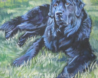 Newfoundland dog art CANVAS print of LA Shepard painting 8x8