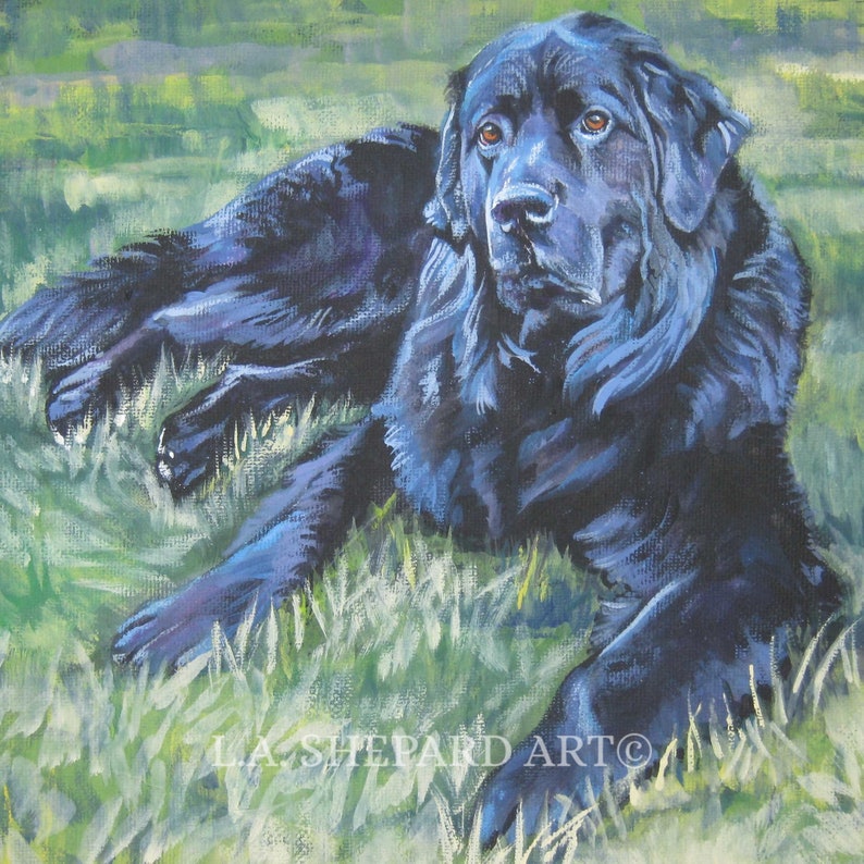 Newfoundland dog art CANVAS print of LA Shepard painting 8x8 image 1