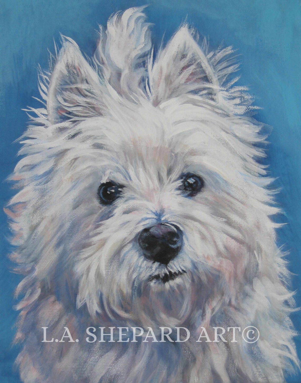 West Highland Terrier WESTIE DOG ART Portrait Print of Lashepard ...