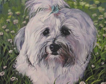 HAVANESE dog portrait art canvas PRINT of LAShepard painting 8x8"