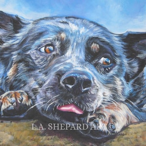 AUSTRALIAN CATTLE DOG portrait art Blue Heeler print of LAShepard painting