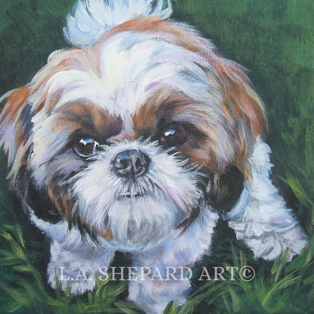 絵画 油絵 犬 シーズ シーズー犬アートポートレートキャンバスプリント、LAShepard絵画12x12