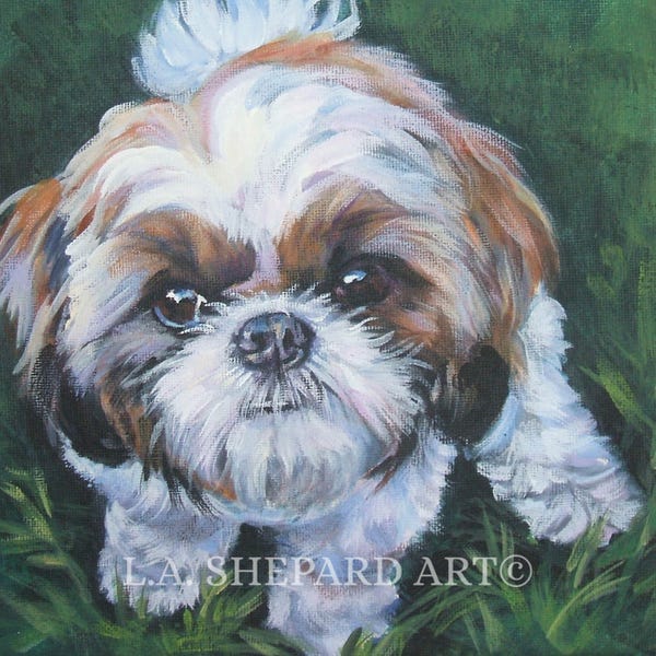 SHIH TZU dog art portrait canvas PRINT of LAShepard painting 12x12"