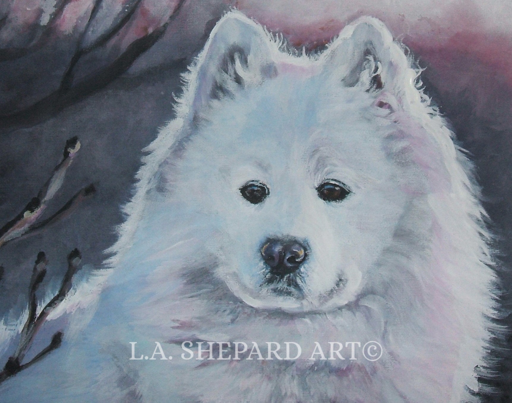 Samoyed Dog Art Portrait Canvas Print Of La Shepard Painting Etsy