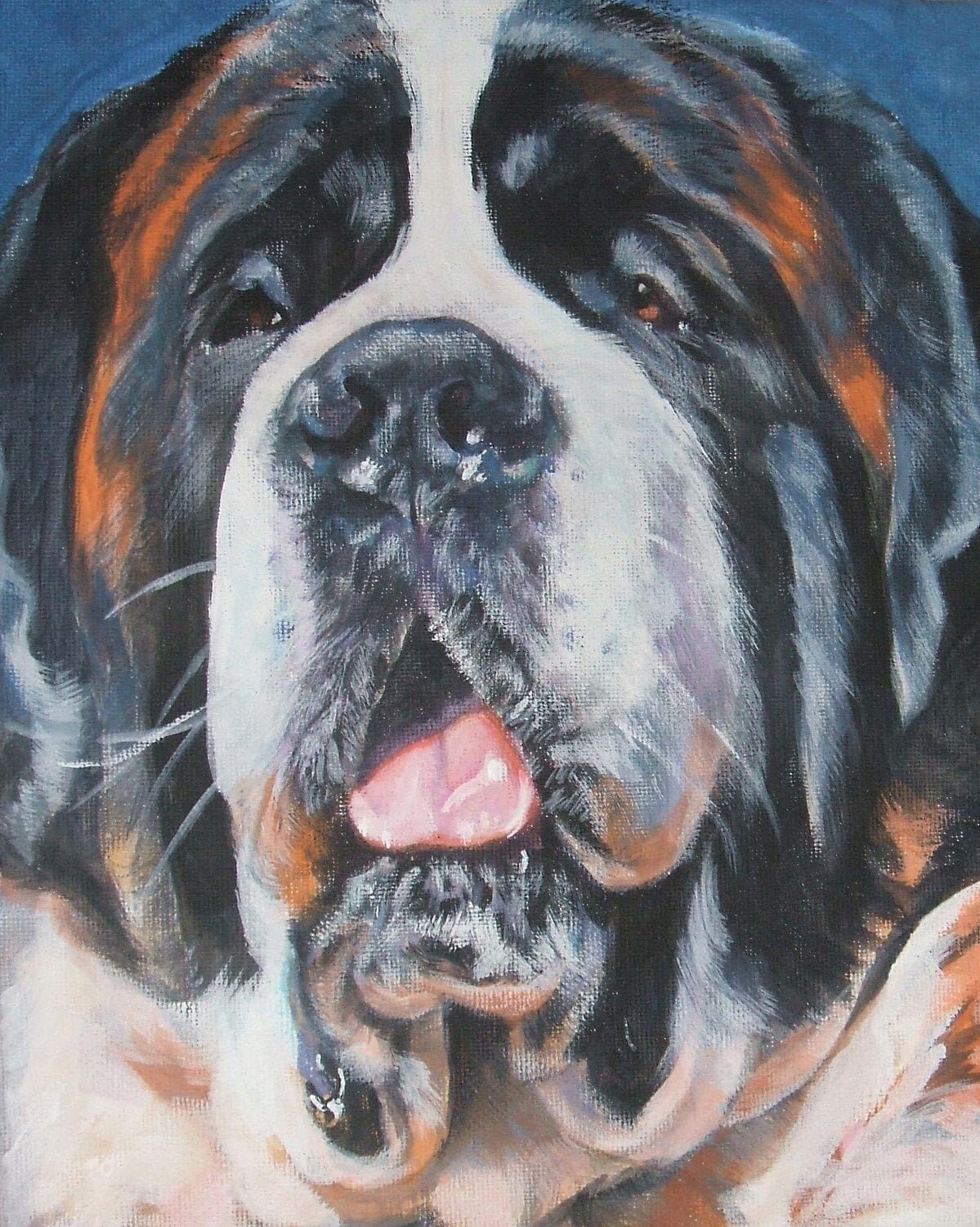 St Bernard Short Hair Vs Long Hair