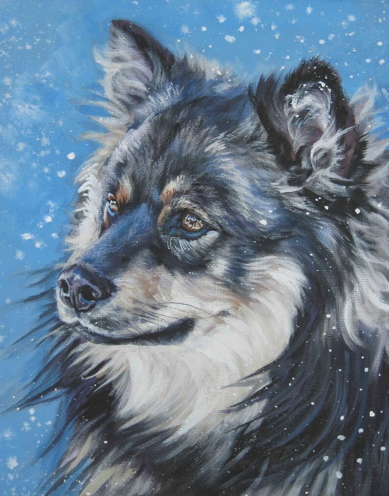 Finnish Lapphund portrait CANVAS print of LA Shepard painting 11x14 dog art image 1