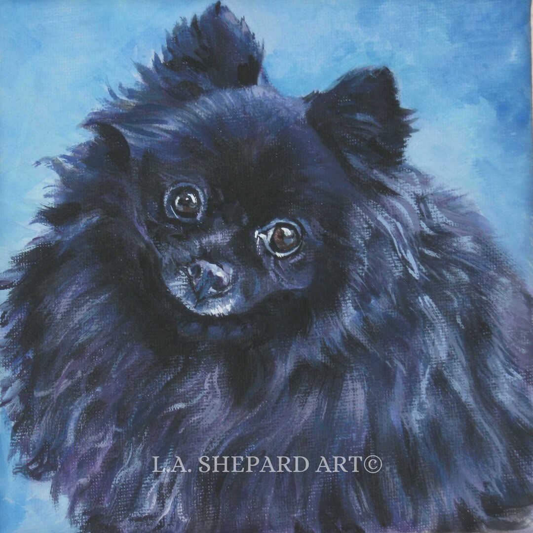 狼林（ROURIN）作　犬（ポメラニアン）の水彩画 2008年 狼林（ROURIN）作 犬（ポメラニアン）の水彩画 2008年 狼林（ROURIN