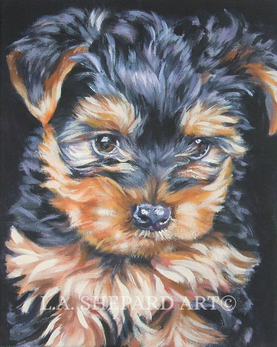 Yorkshire Terrier YORKIE dog art portrait canvas PRINT of LA Shepard painting 8x10