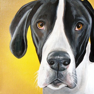 16x20 size canvas custom painted pet portrait sample on 16x20 canvas image 1