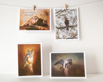 Note Cards 4 Pack, Fine Art, Birds of Prey, Blank Greeting Cards, With Envelopes and Plastic Sleeves, Nature, Birds, Raptors, 4.5 X 6.25,