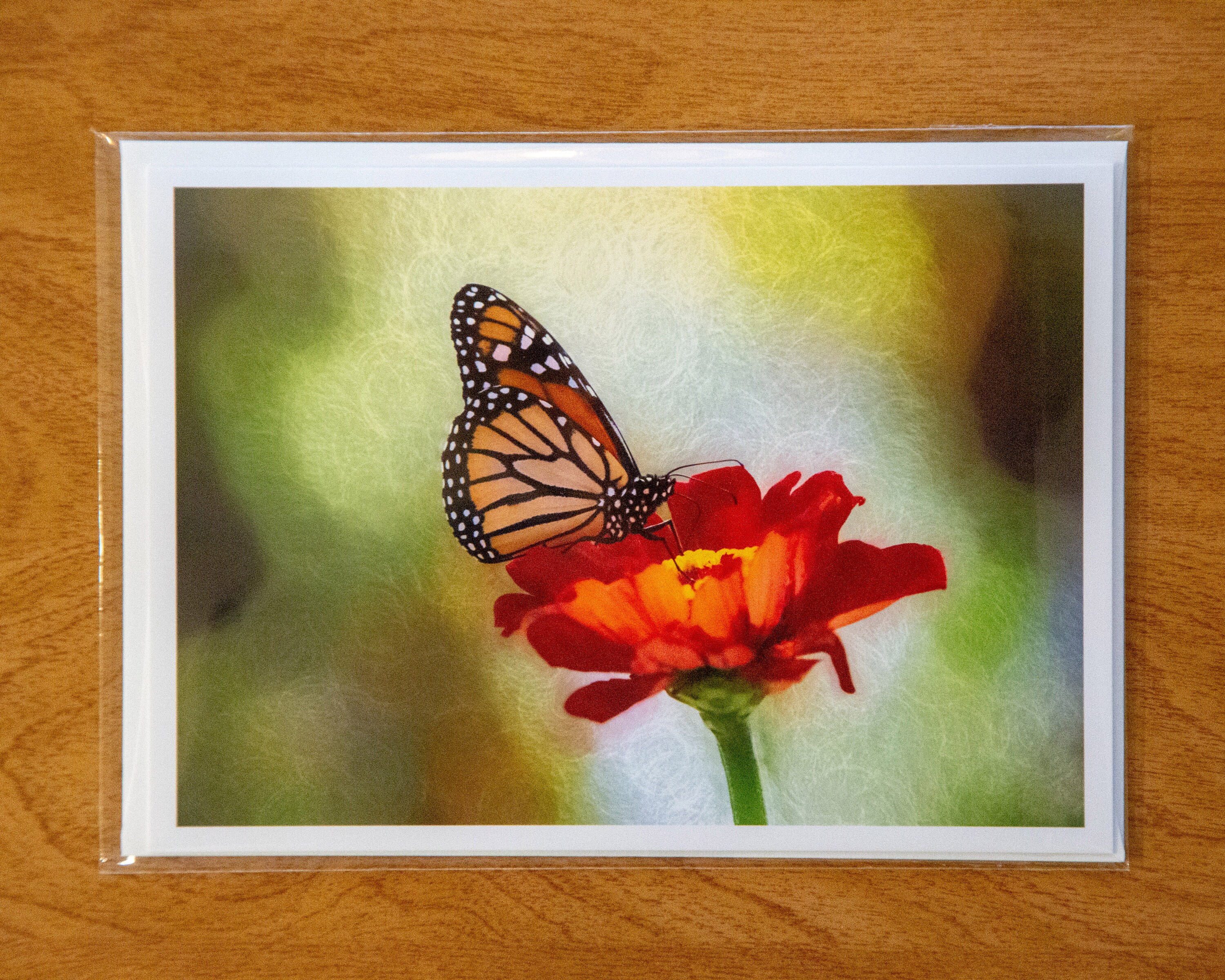 Fine Art Note Card, 5x7 Greeting Card Blank Inside, Envelope and ...