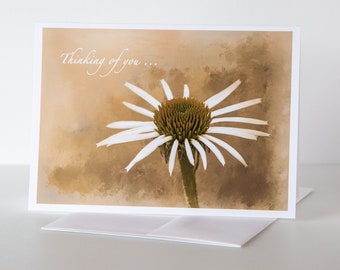 Thinking Of You Card, 5x7 Greeting Card, Fine Art Note Card, Blank Inside, With Envelope, Photo Art, White Sepia Coneflower,