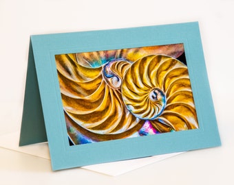 Fine Art Folded Note Card Blank Inside, 5x7 Matted Greeting Card With 4X6 Print, With Envelope and Sleeve, Light Teal Color, Nautilus Shells