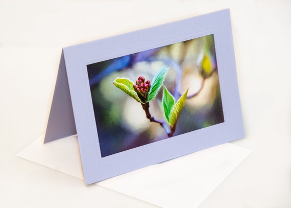 5x7 greeting card sleeves Dragon Shield main image 1