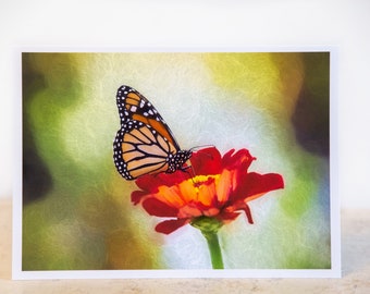 Fine Art Note Card, 5x7 Greeting Card Blank Inside, Envelope and Protective Sleeve Included, Painted Monarch Butterfly On Red Zinnia Flower