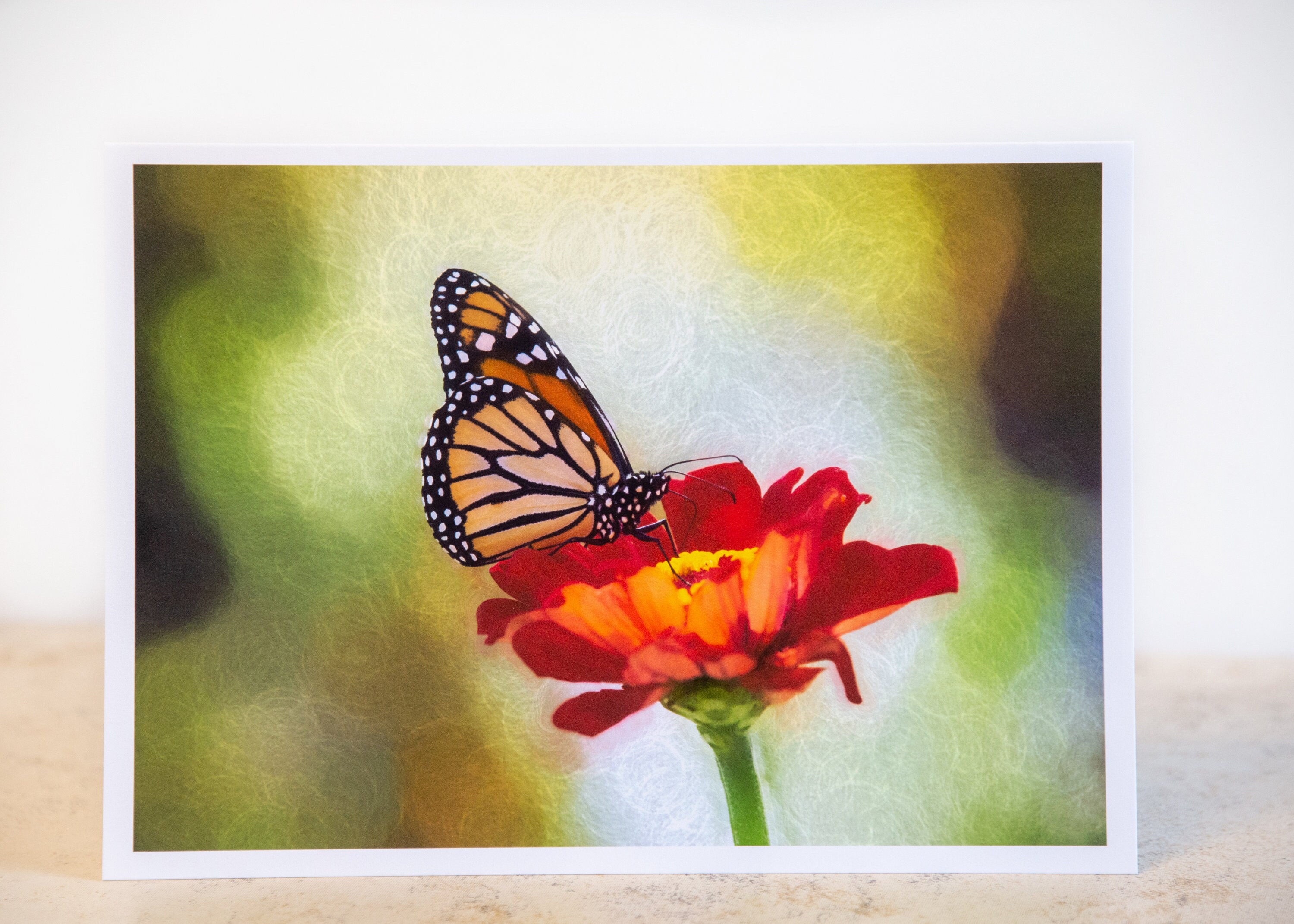 Fine Art Note Card, 5x7 Greeting Card Blank Inside, Envelope and ...