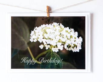 Happy Birthday Floral Card, 5x7 Greeting Card, Fine Art Note Card, Blank Inside, With Envelope, Photo Art, White Sepia Coneflower