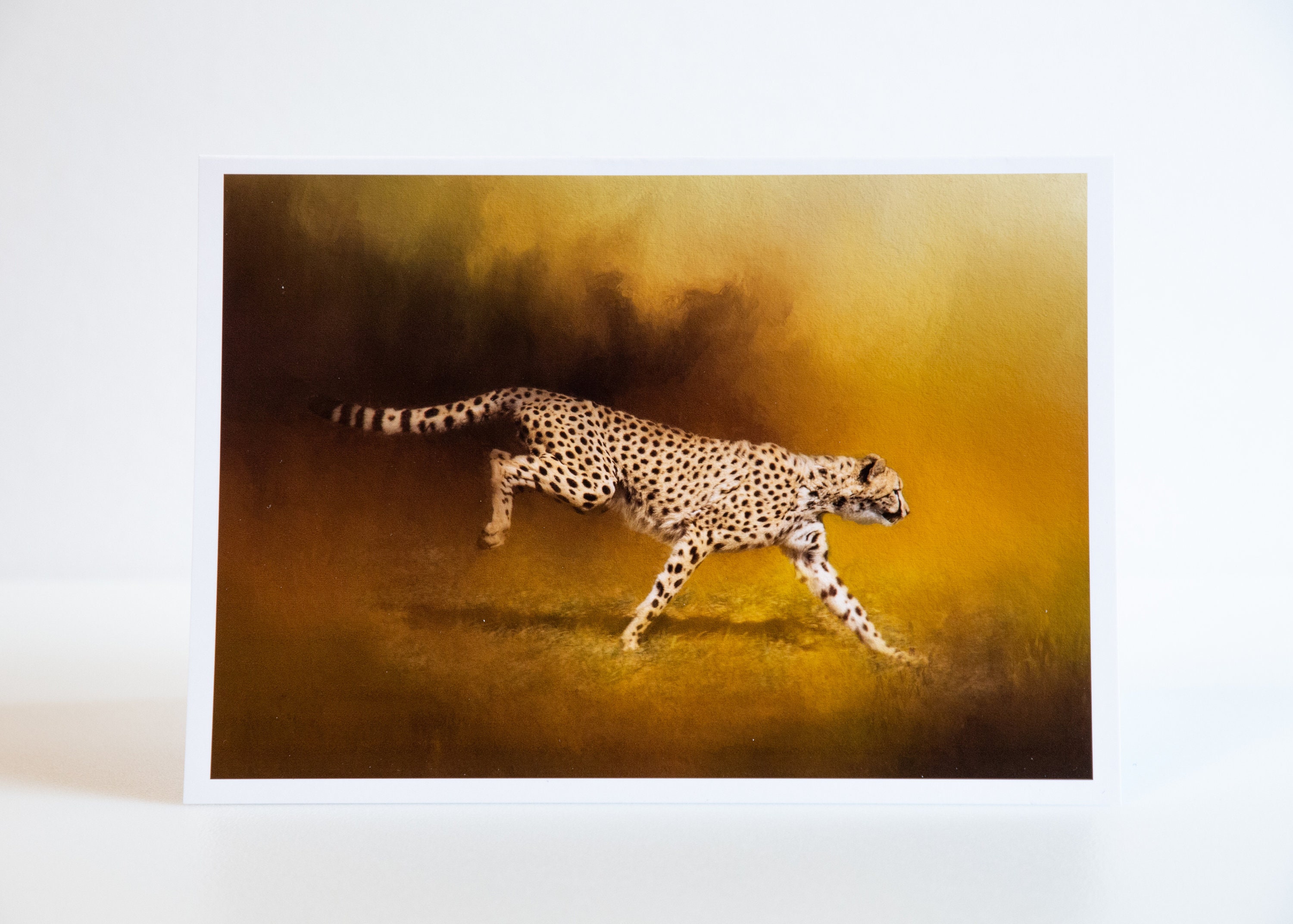 Fine Art Note Card, Cheetah Running, Wildlife, 5x7 Greeting Card Blank ...