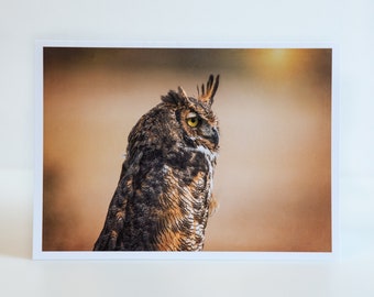Fine Art Note Card, Great Horned Owl At Dusk, 5x7 Greeting Card Blank Inside,